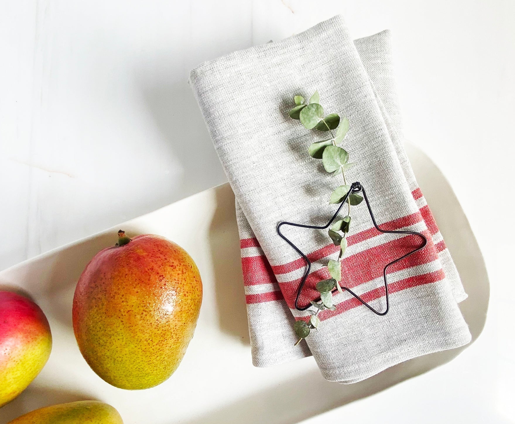 Bistro Linen Napkins- Set of 2 - celina mancurti - napkins - -Red Stripes